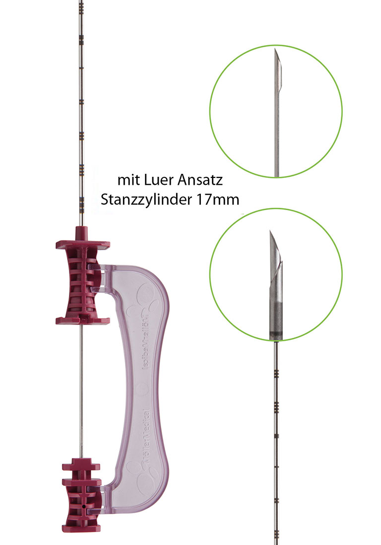 Abbildung der Biopsiekanüle mit Nahaufnahme des Stanzzylinders