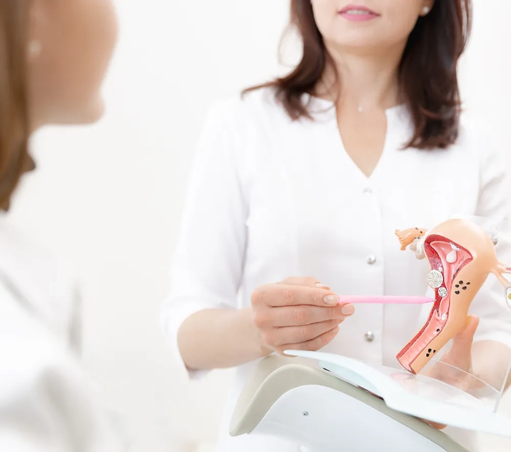 Eine Ärztin in einem weißen Oberteil sitzt entspannt in einer hellen, freundlichen Umgebung und hält lächelnd ein anatomisches Modell der weiblichen Beckenorgane in den Händen. Mit einem rosa Stift zeigt sie auf das Modell, während sie eine aufgeklärte, selbstbewusste Ausstrahlung vermittelt.